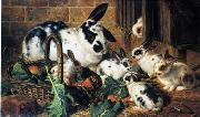 unknow artist Rabbits 198 oil on canvas